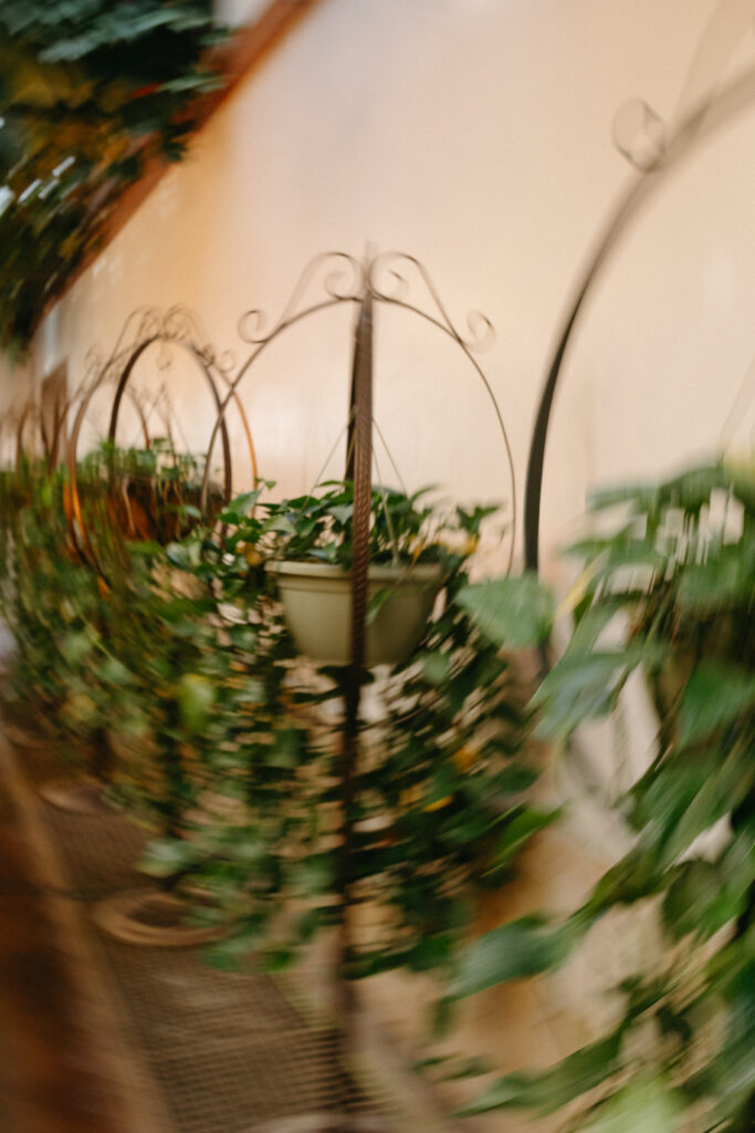 garden reception detail photo