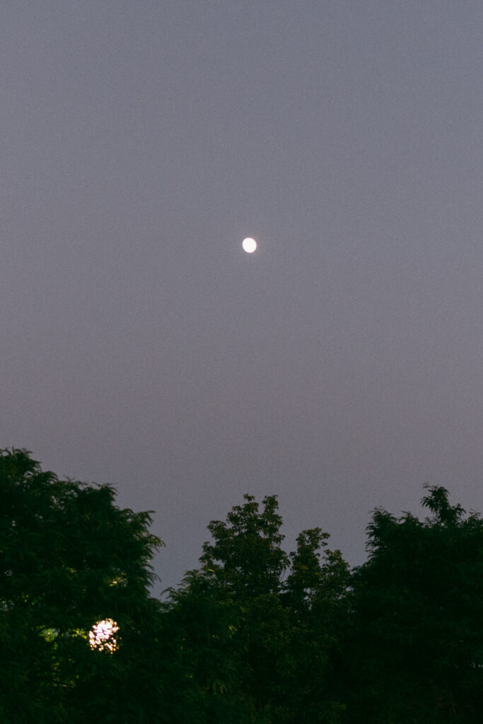 little moon